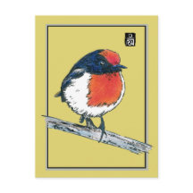 Pássaro Robin de Capas Vermelhas