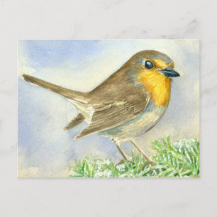 Cartão Postal Pássaro Robin em um galho de zimbro congelado
