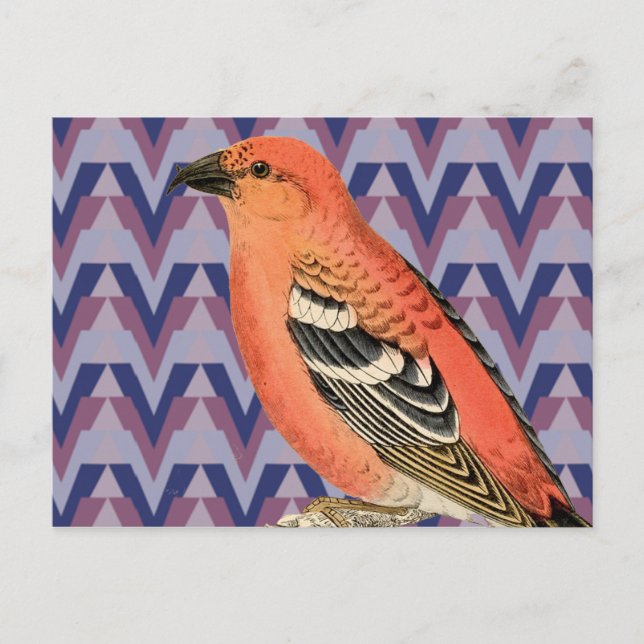 Cartão Postal Pássaro Rosa Chevron e Vintage (Frente)