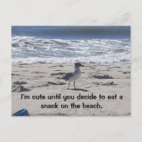 Pássaro Sneaky na Praia
