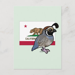 Cartão Postal Pássaro State Birdorable: Codorna-da-Califórnia