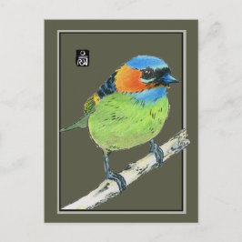 Cartão Postal Pássaro Tanager De Pescoço Vermelho