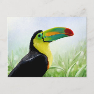 Cartão Postal Pássaro Tropical Colorido Tucano Preto Amarelo Ver