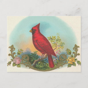 Cartão Postal Pássaro Vermelho
