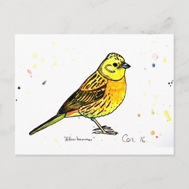 Cartão Postal Pássaro Yellowhammer (Frente)