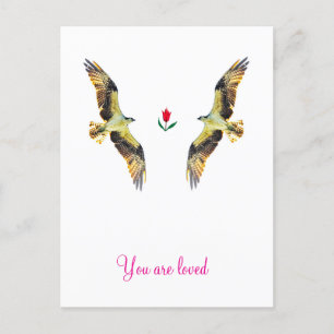 Cartão Postal Pássaros adoráveis. Ospreys