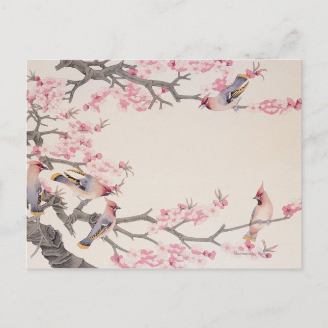 Cartão Postal Pássaros Cantando na Primavera (Frente)
