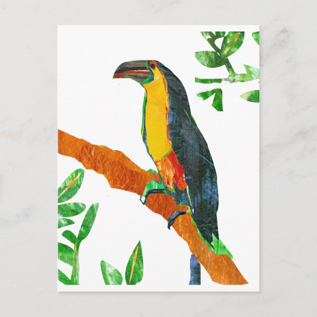 Cartão Postal Pássaros Coloridos Toucan (Frente)