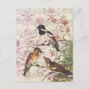 Cartão Postal Pássaros com Estilo Vintage em Ramais e Música