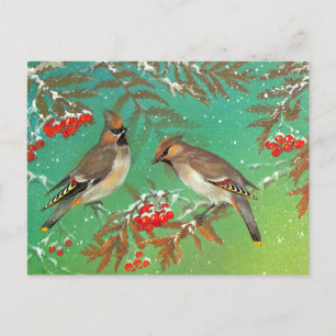 Cartão Postal Pássaros de Inverno