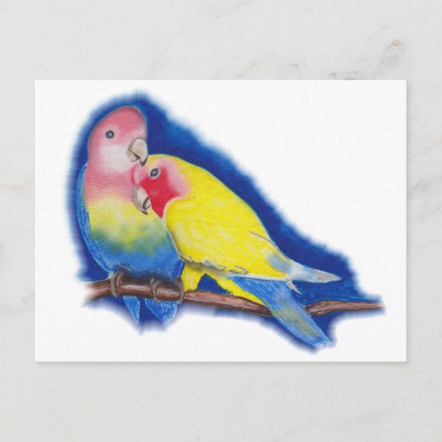 Cartão Postal Pássaros do Amor (Frente)