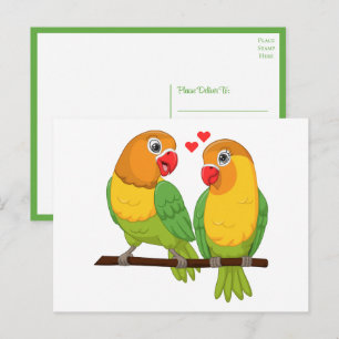 Cartão Postal Pássaros do Amor Verde Amarelo Pássaros do Amor C