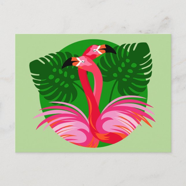 Cartão Postal Pássaros do flamingo (Frente)