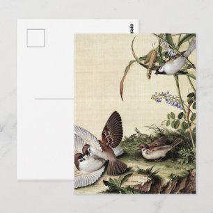 Cartão Postal Pássaros e Flores Roxas em Chinoiserie Vintage