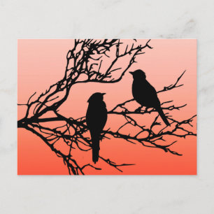 Cartão Postal Pássaros em um galho, Preto contra Laranja Sunset