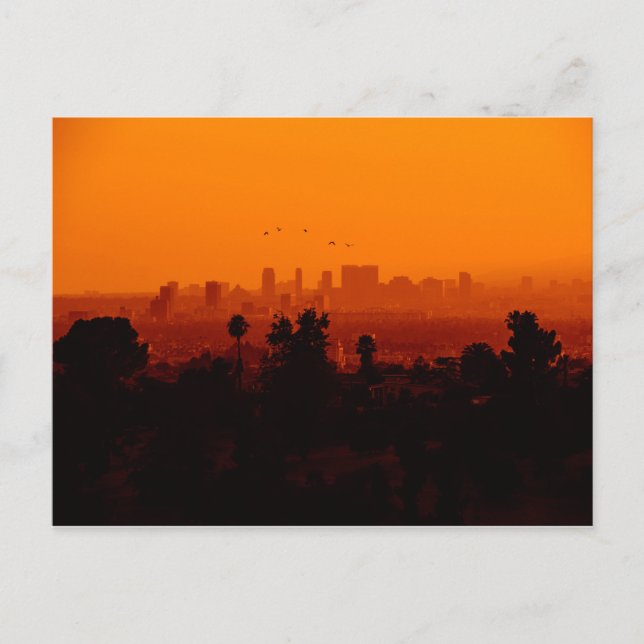 Cartão Postal Pássaros em Voo (Los Angeles, CA) (Frente)