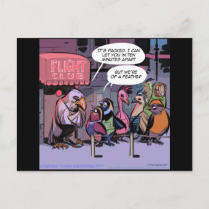 Cartão Postal Pássaros Engraçados De Uma Pena