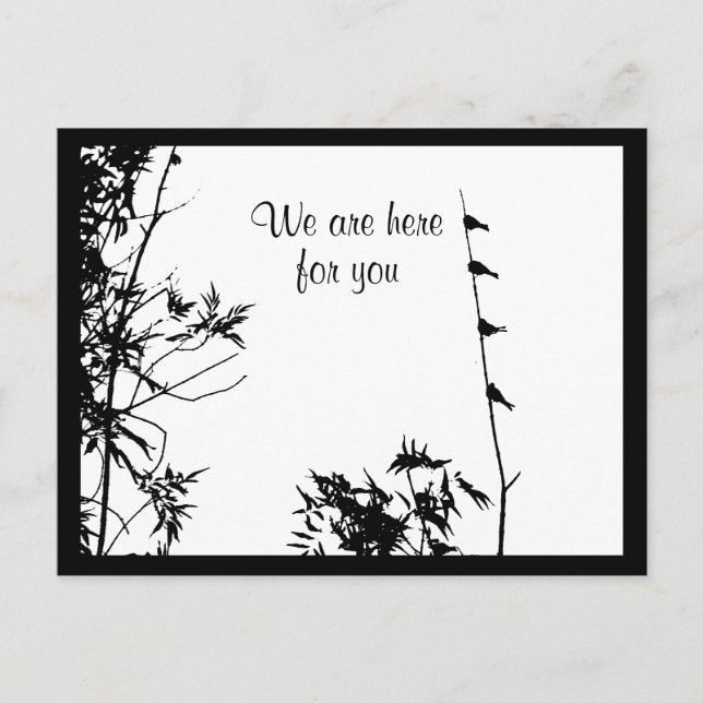 Cartão Postal Pássaros Familiares Amigos Não Sozinhos (Frente)