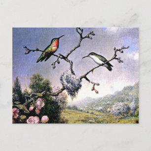 Cartão Postal Pássaros humanos e flores de maçã