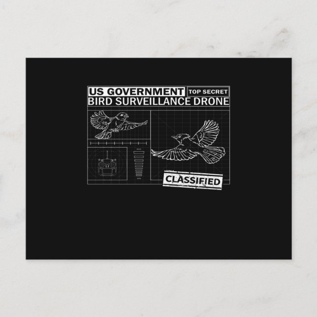 Cartão Postal Pássaros não são verdadeiros - Engraçados observan (Frente)