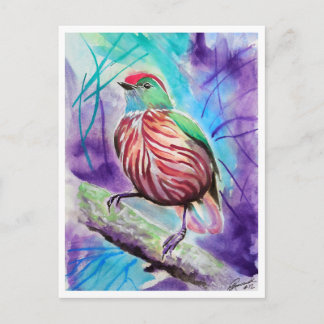 Cartão Postal Pássaros Pequenos #12
