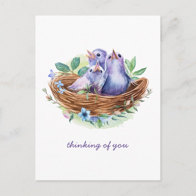 Cartão Postal Pássaros Primavera coloridos no ninho pensando em  (Frente)