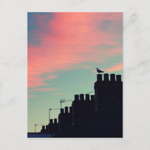 Cartão Postal Pássaros primitivos