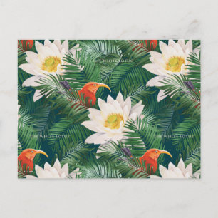 Cartão Postal Pássaros Tropicais e Lotus Brancos