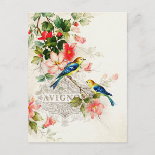 Cartão Postal Pássaros Vintage Design Francês