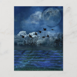 Cartão Postal Pássaros voando à noite