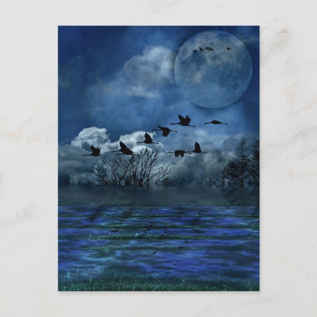 Cartão Postal Pássaros voando à noite (Frente)