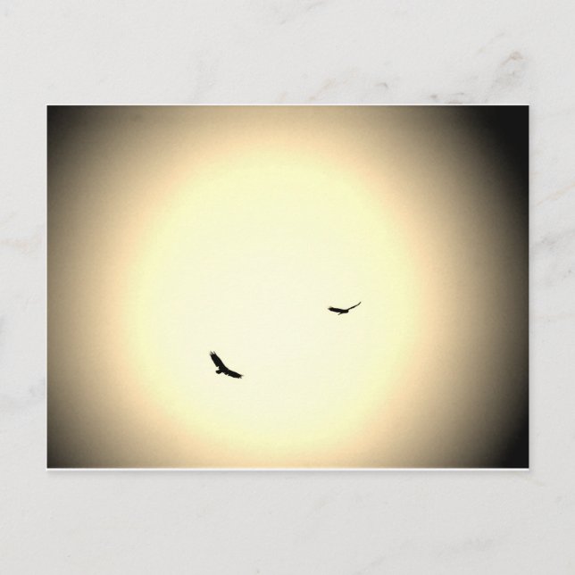 Cartão Postal pássaros voando soltos no céu (Frente)