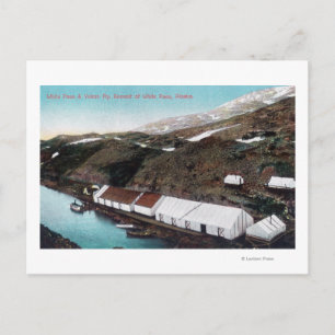 Cartão Postal Passe Branco e Comboio Ferroviário Yukon