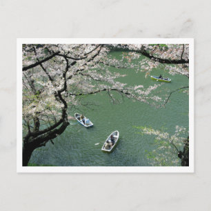 Cartão Postal Passeio de barco em Chidorigafuchi: Tóquio, Japão