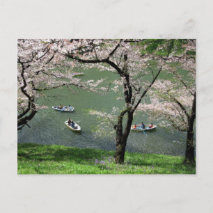 Cartão Postal Passeio de barco em Chidorigafuchi: Tóquio, Japão