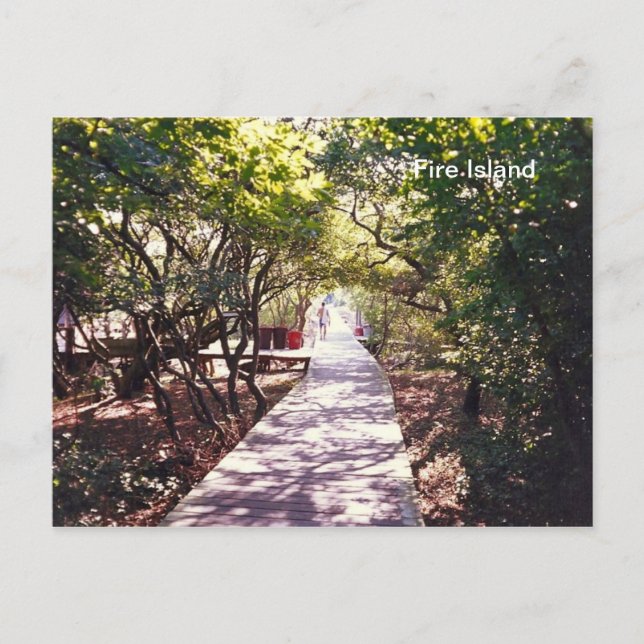 Cartão Postal Passeio de barco no Parque Davis em Fire Is. (Frente)