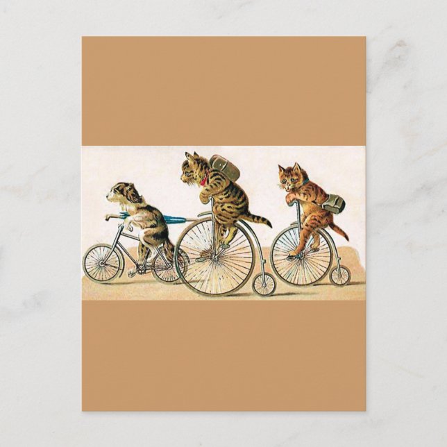 Cartão Postal Passeio de Bicicleta (Frente)