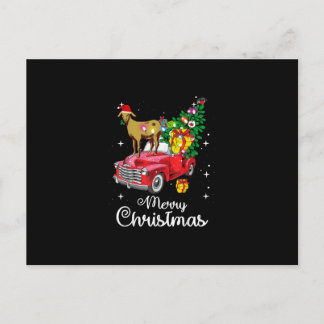 Cartão Postal Passeio de Cabra no Carro Vermelho de Natal