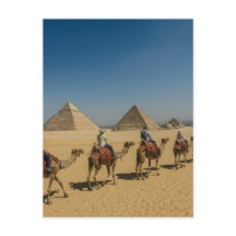 Passeio de camelo no deserto das pirâmides do Egit