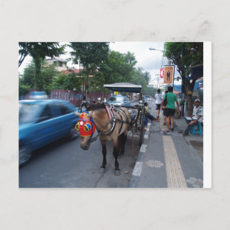Cartão Postal passeio de cavalo em Bali