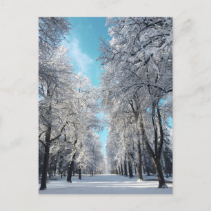 Cartão Postal passeio de inverno no parque