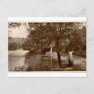 Cartão Postal Passeio do Salgueiro Dorking Vista Sépia Antiga