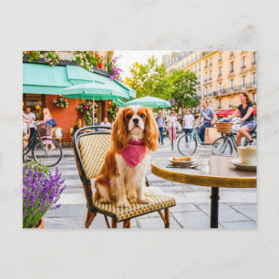 Cartão Postal Passeio do spaniel pela cidade em café ao ar livre
