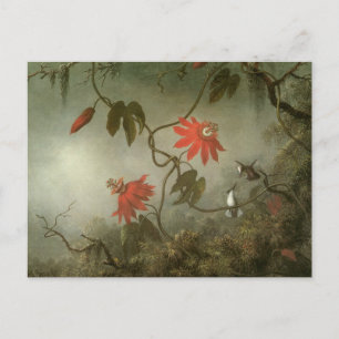 Cartão Postal Passion Flowers e Hummingbird por Martin J Heade