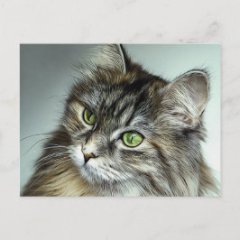 Cartão Postal Pasta de Óleo de Gato Fluffy de Olhos Verdes