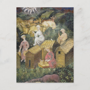 Cartão Postal Pastagens de montanha