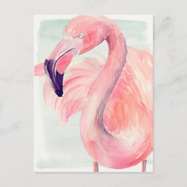 Cartão Postal Pastel Flamingo (Frente)