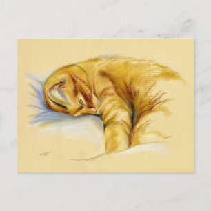 Cartão Postal Pastel Gato - Comprimido Laranja Dose Relaxada
