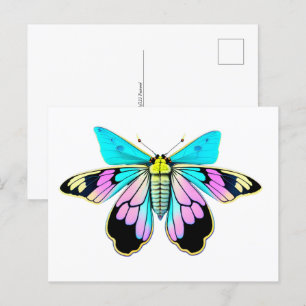 Cartão Postal Pastel Moth, estilo aquarela, Posto