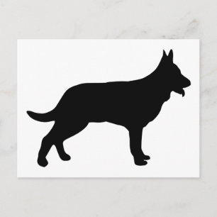 Cartão Postal Pastor